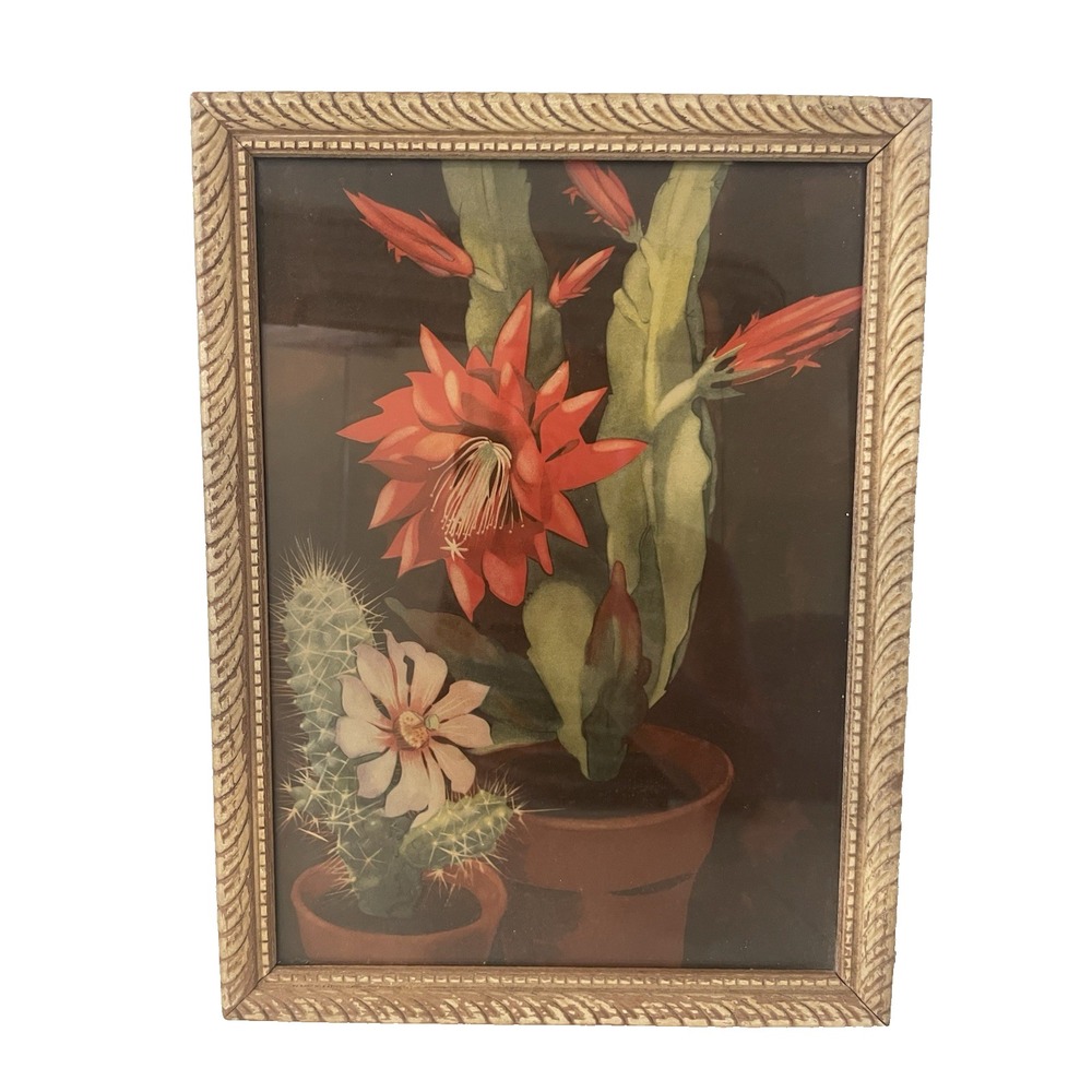 Vtg Framed Flowering Succulents Cactus Pot Plants 9" x 12"